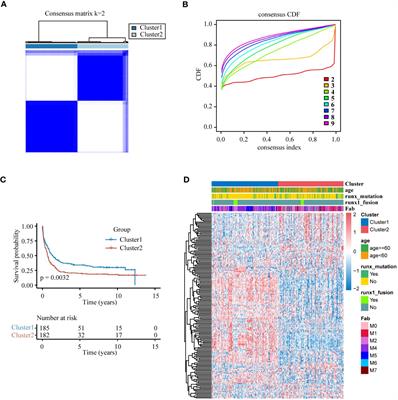 Lysosome-related genes predict acute myeloid leukemia prognosis and response to immunotherapy